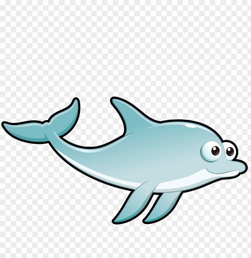 Vector Cartoon Fish In The Sea Common Bottlenose Dolphin Tucuxi Drawing PNG