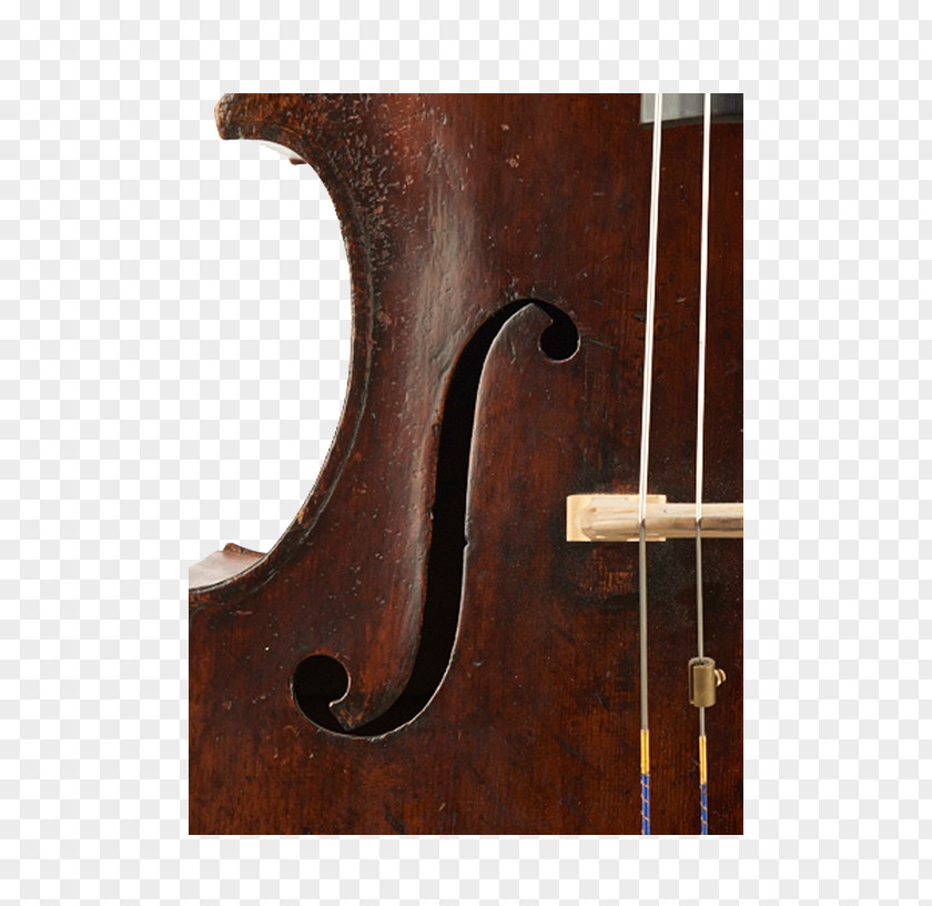 Violin Bass Viola Violone Double Octobass PNG