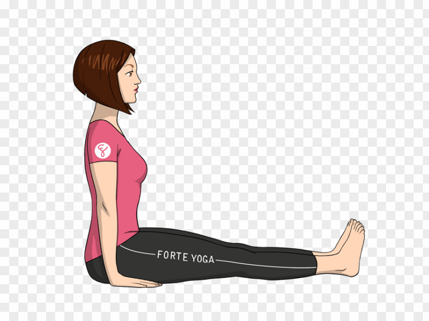 Yoga Pose Shavasana Stretching Dandasana PNG
