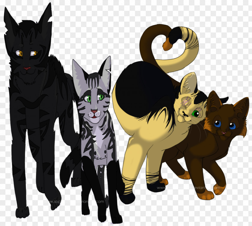 Cat Whiskers Forest Of Secrets Into The Wild Darkstripe PNG