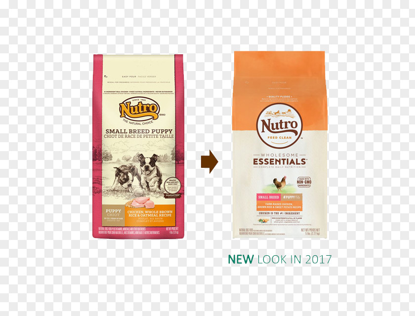 Puppy Dog Food Nutro Products Pet PNG