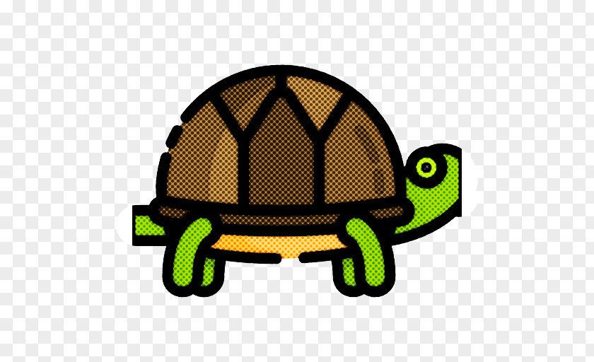 Hat Reptile Pond Cartoon PNG