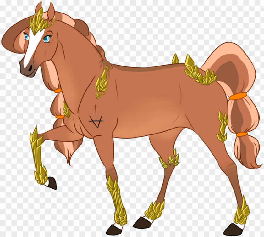Mustang Mule Pony Foal Stallion PNG