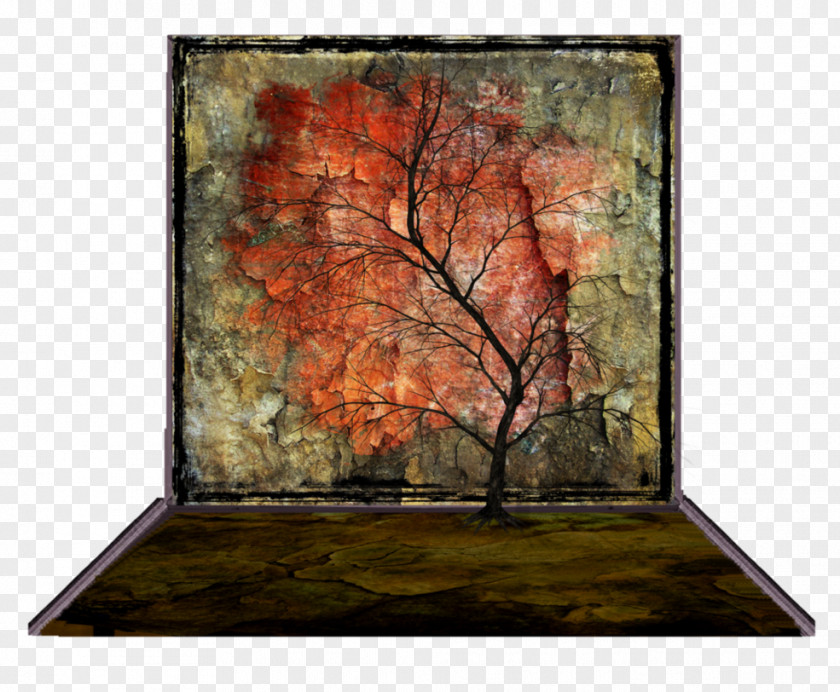 Tree Still Life Picture Frames Wood /m/083vt PNG