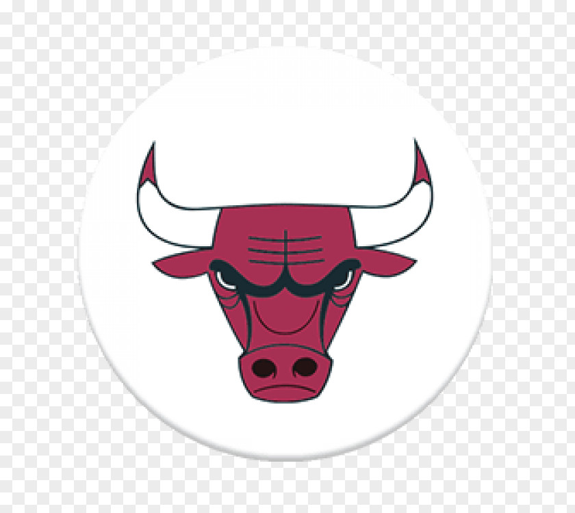 Chicago Bulls Cattle Clip Art Illustration Snout Character PNG