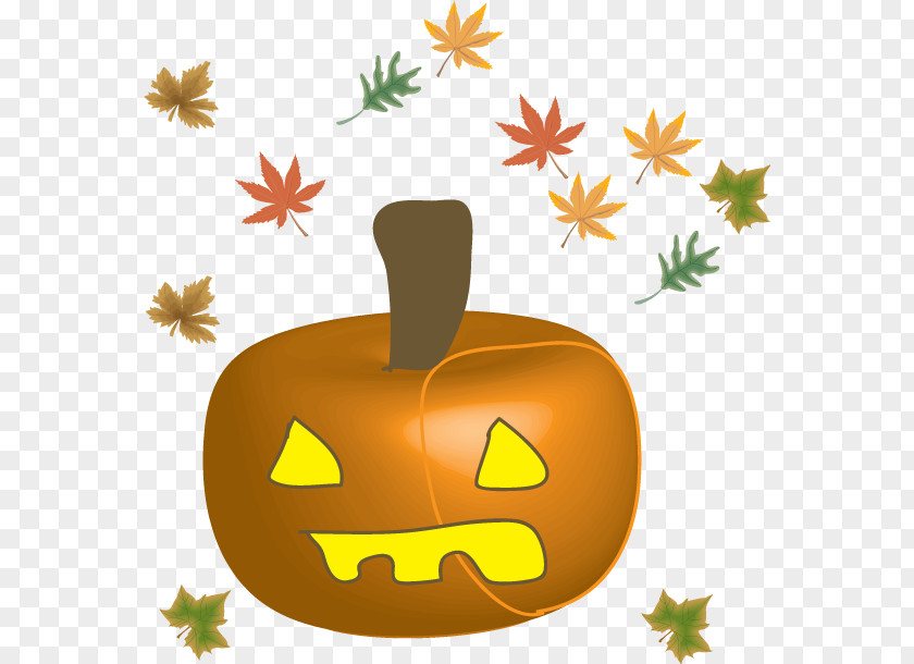 Fall Calabaza Ishitoge Lakeland Pumpkin Jack-o'-lantern Stingy Jack PNG