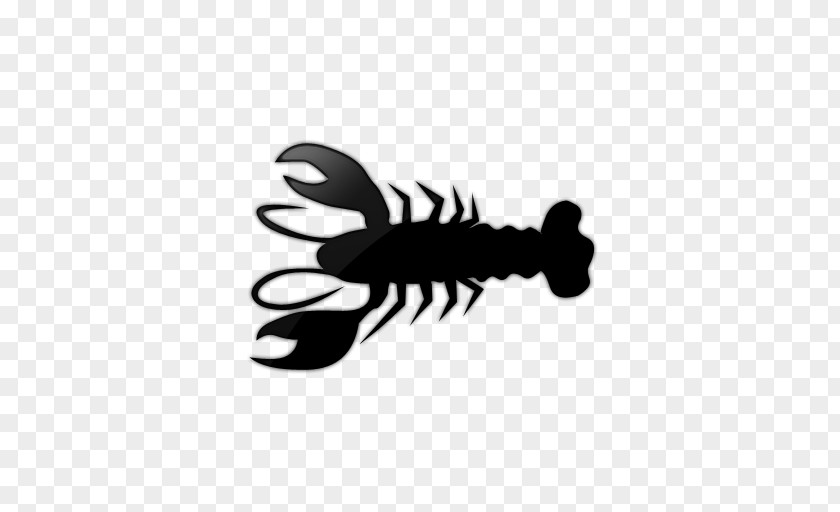 Lobster Save Oyster Seashell Icon Design PNG