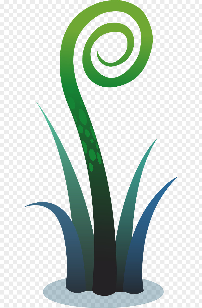 Plant Fern Clip Art PNG
