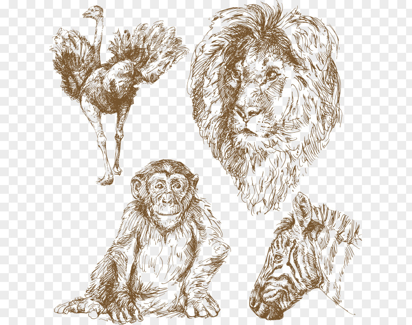 Animal Line Drawing Royalty-free Illustration PNG