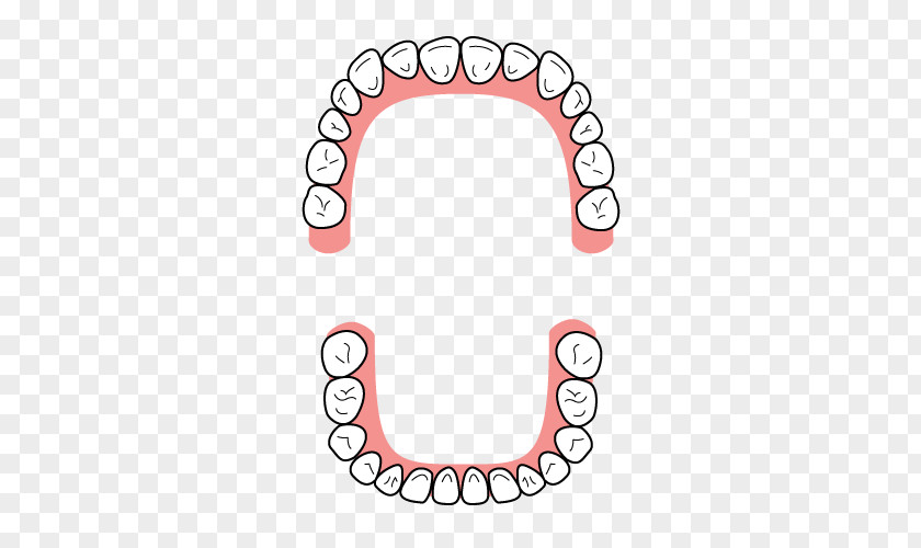 Bridge Dentition Tooth Dental Braces Dentist PNG