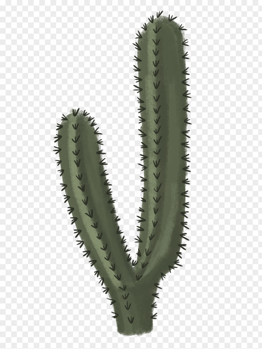 Cactus File Clip Art PNG