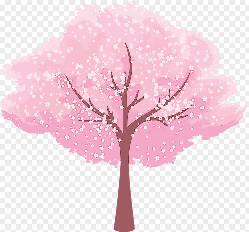 Cherry Blossom PNG