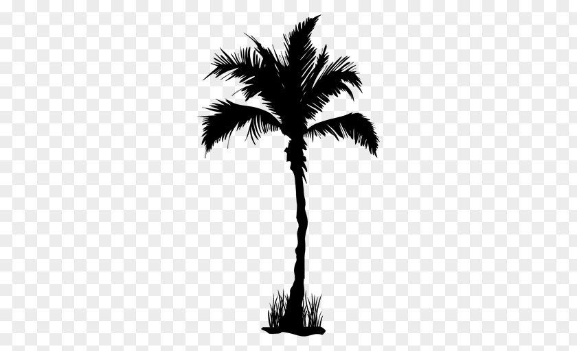 Coconut Trees Arecaceae Tree Clip Art PNG