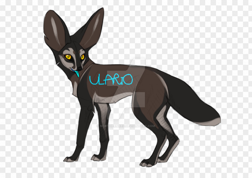 Fennec Fox Dog Felidae Cat Auction PNG