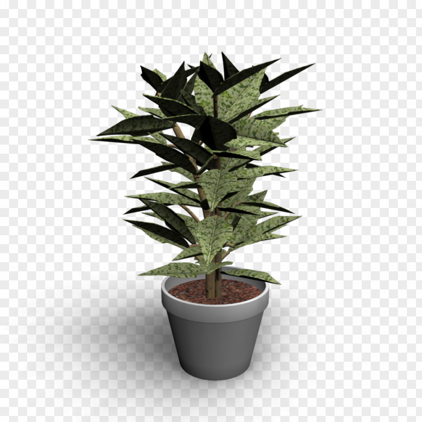 Houseplant Flowerpot Room Interior Design Services PNG