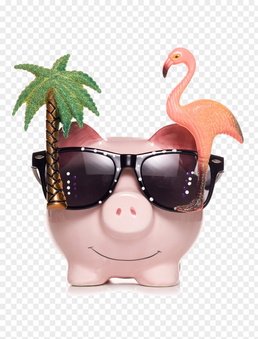 Piggy Bank Domestic Pig Saving Money PNG