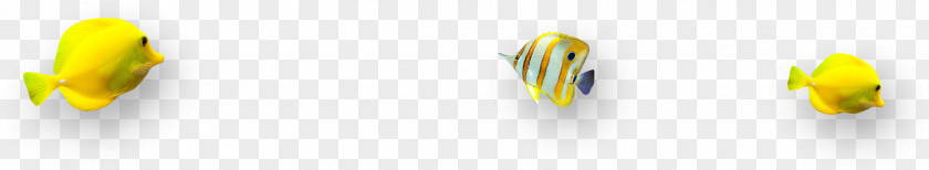 Pretty Creative Ornamental Fish Yellow Wallpaper PNG