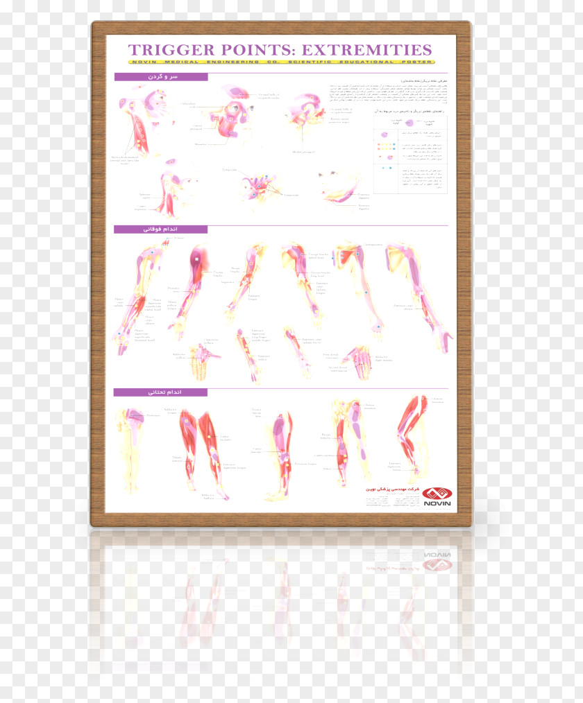 Design Paper Pink M Picture Frames Font PNG