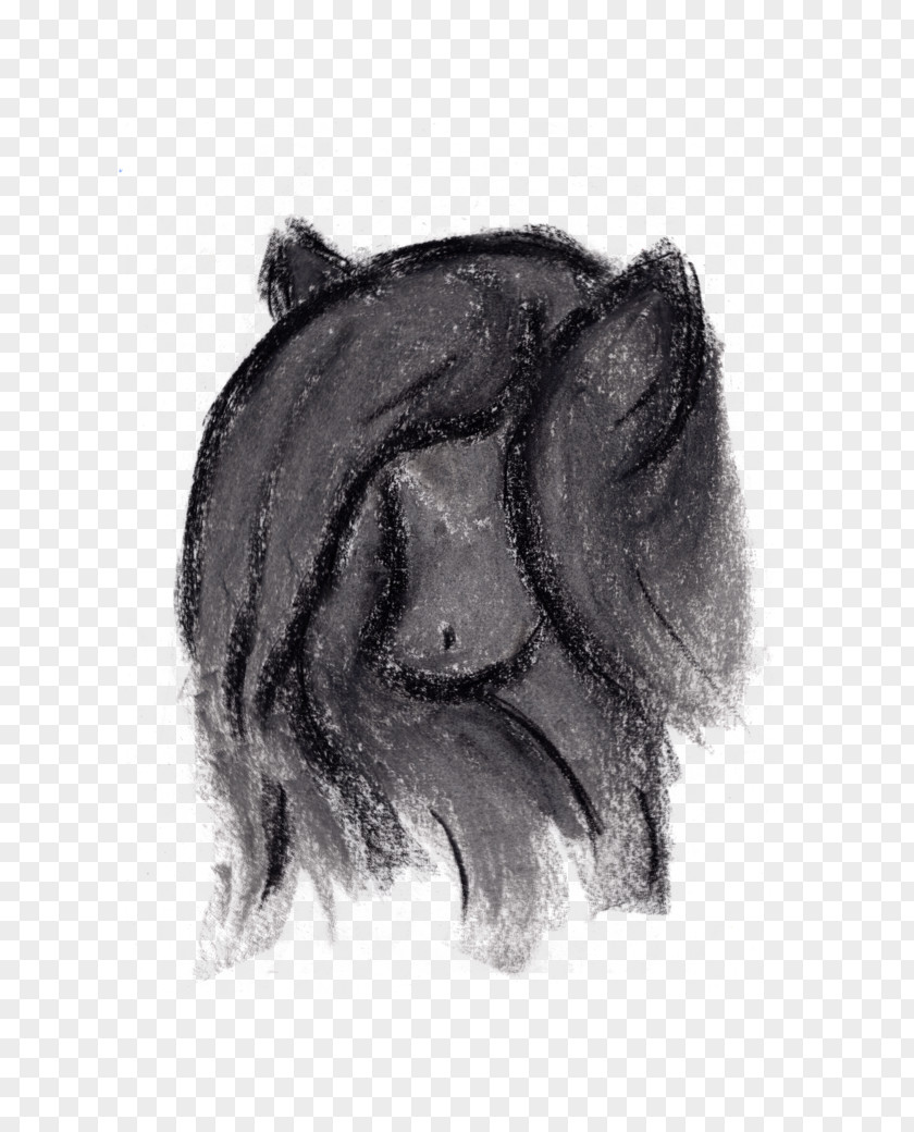 Dog Breed Snout Drawing Sketch PNG