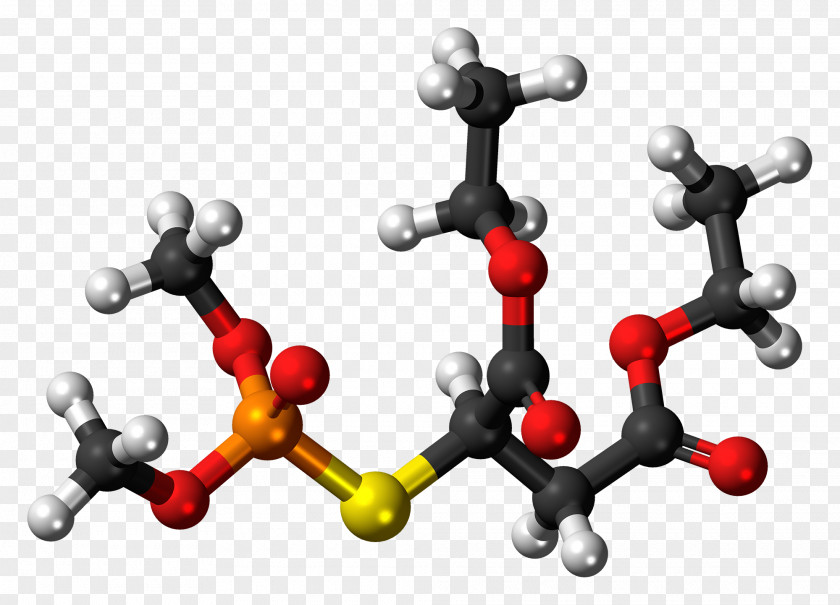 Moleculef Isomalathion Molecule Molecular Modelling Ball-and-stick Model Jmol PNG