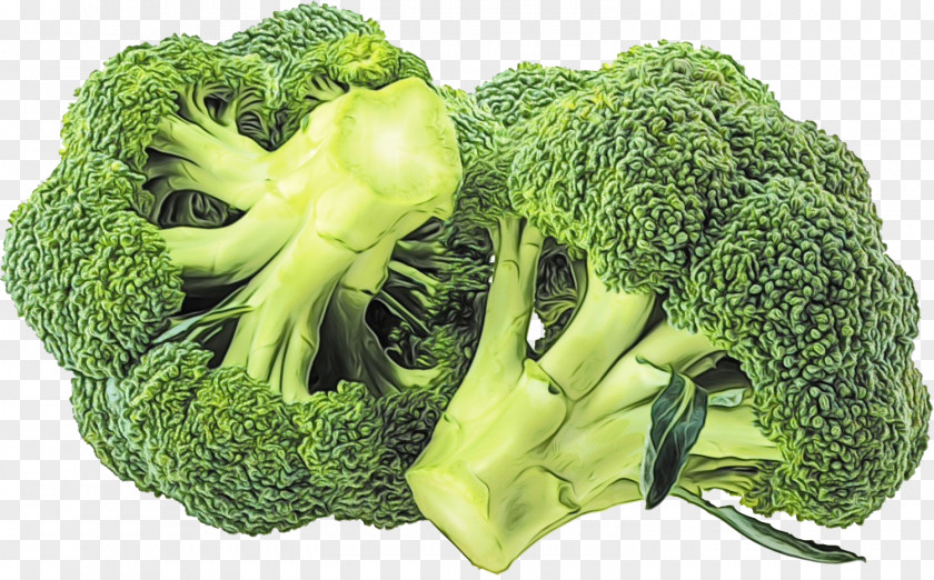 Parsley PNG