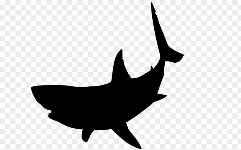 BABY SHARK Great White Shark Silhouette Clip Art PNG