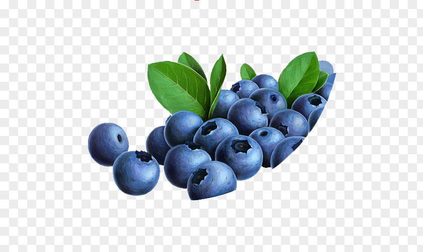 Blueberry Tea Bilberry Huckleberry Fruit PNG