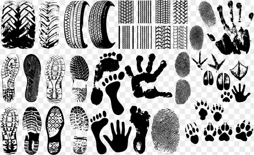 Footprints Vector Clip Art Stamp Footprint PNG
