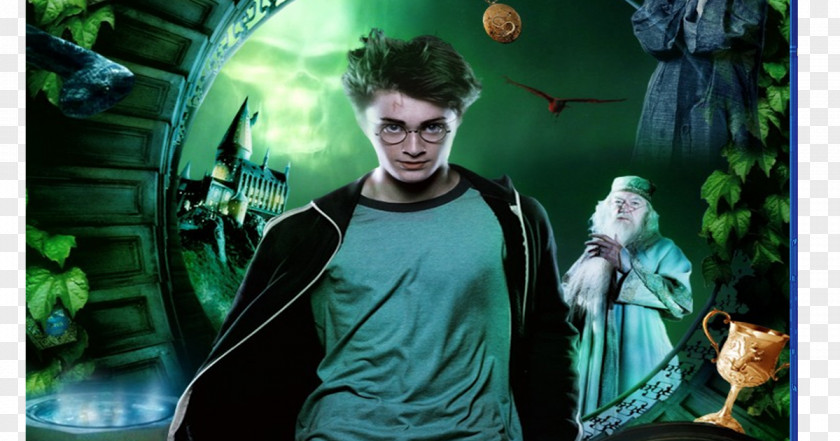 Harry Potter And The Deathly Hallows Lord Voldemort Hogwarts United States PNG
