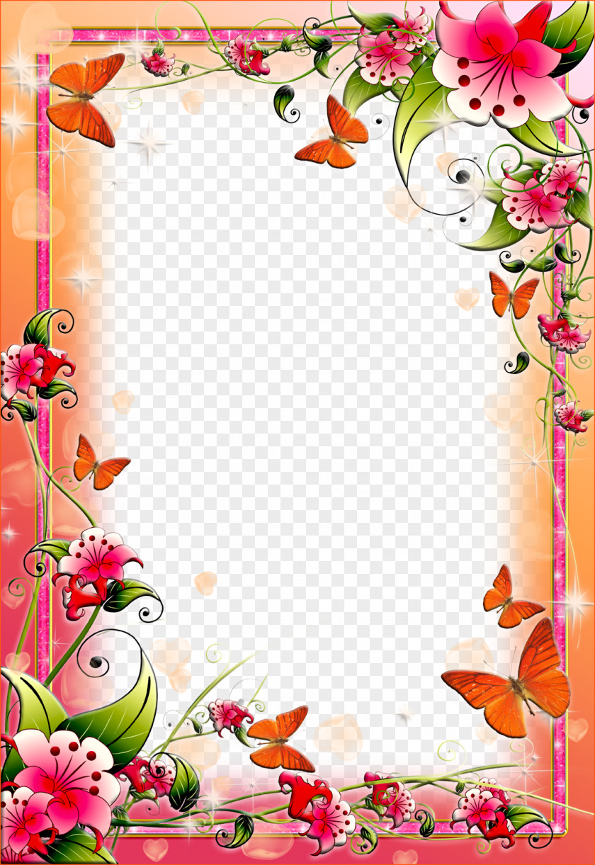 Lily Flower Frame Floral PNG
