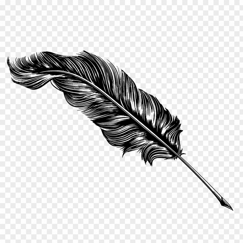 Feather Paper Quill Drawing Pens Clip Art PNG