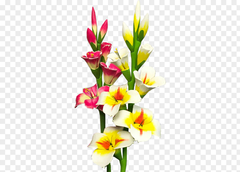 Gladiolus Photo Flower Bouquet PNG