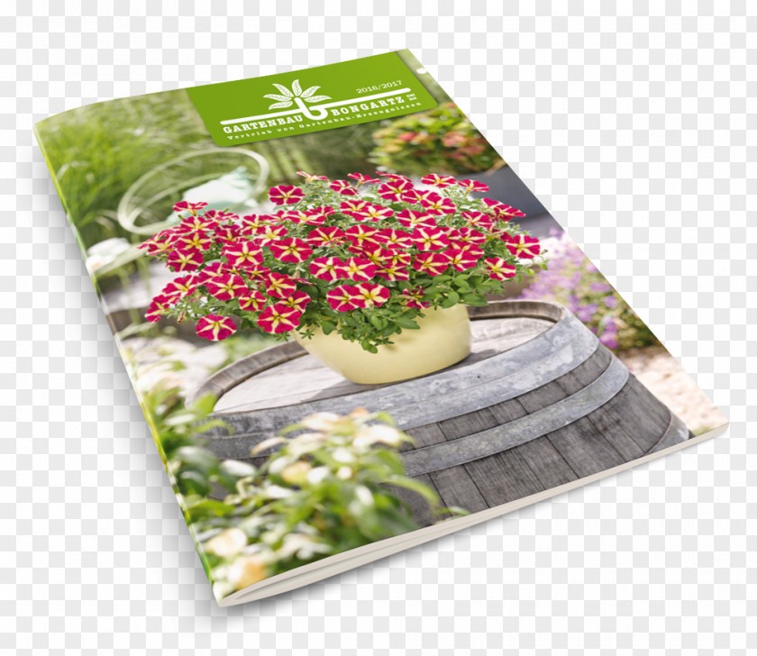Katalog Floral Design Value-added Reseller Horticulture Flowerpot PNG