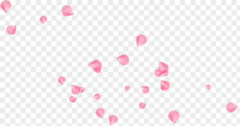 Pink Floating Rose Petal Decoration Software Pattern PNG