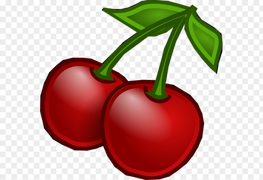 Plum Fruit Clip Art PNG