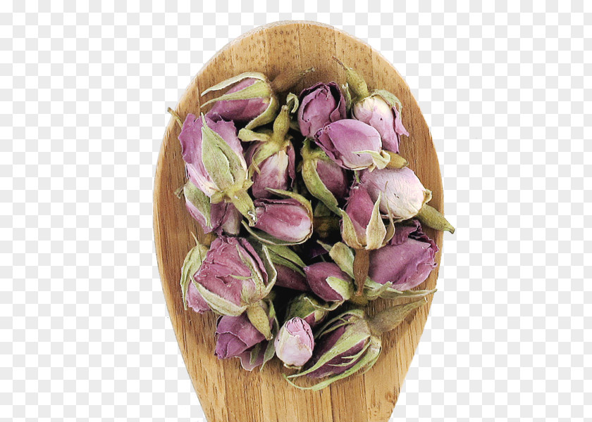 Tea Dianhong Cut Flowers Bud PNG