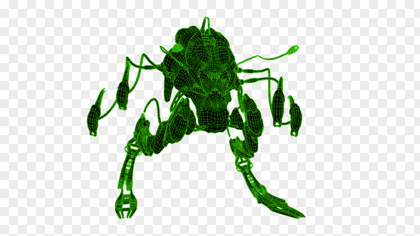 Atom Model Project Ideas Insect Wing Tree Character Fiction PNG