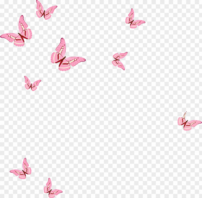 Butterflies Borboleta Transformation Pink PNG