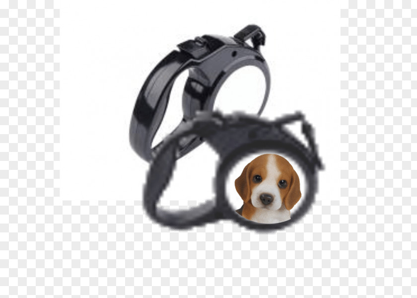 Dog Lead Collar Leash Cat PNG