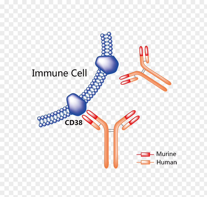 Mertansine Trastuzumab Emtansine Pharmaceutical Drug Vemurafenib Rituximab PNG