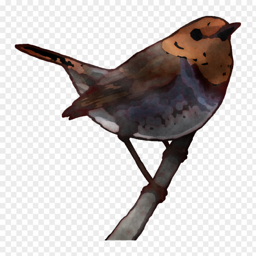 Mockingbird PNG