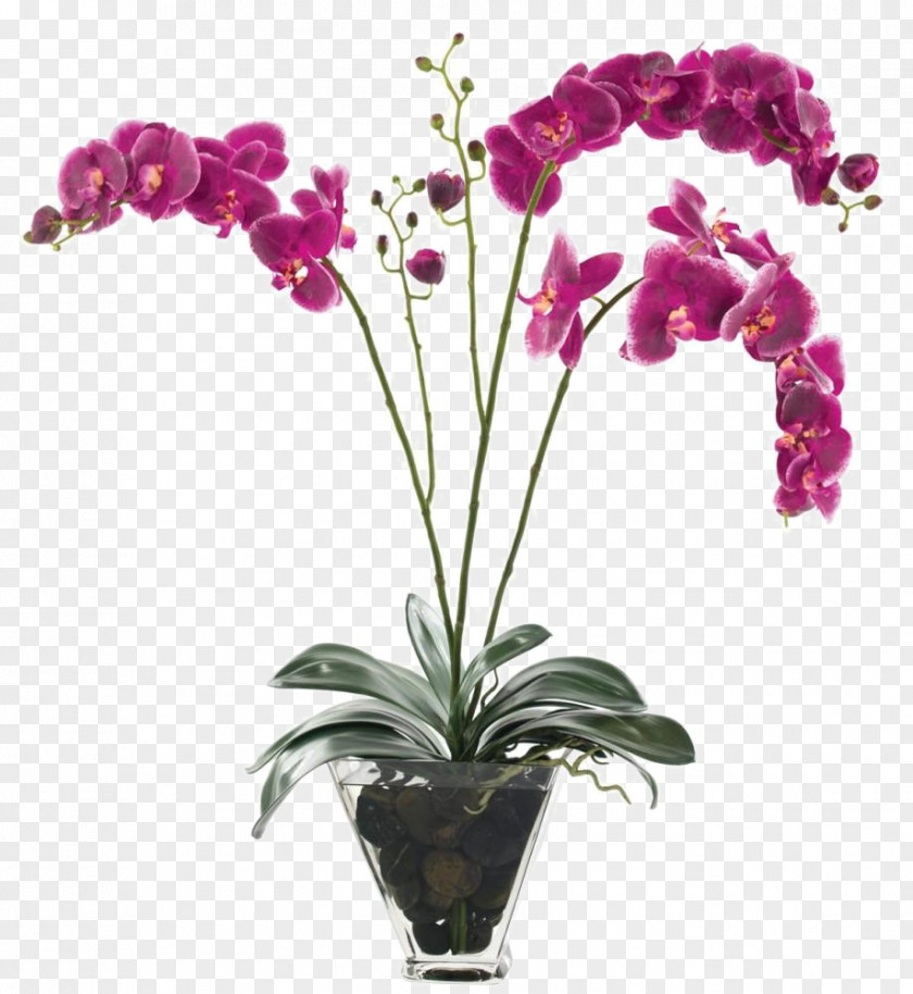 Purple Flower Vase Decorated Soft Furnishings Installed Flowers In A PNG