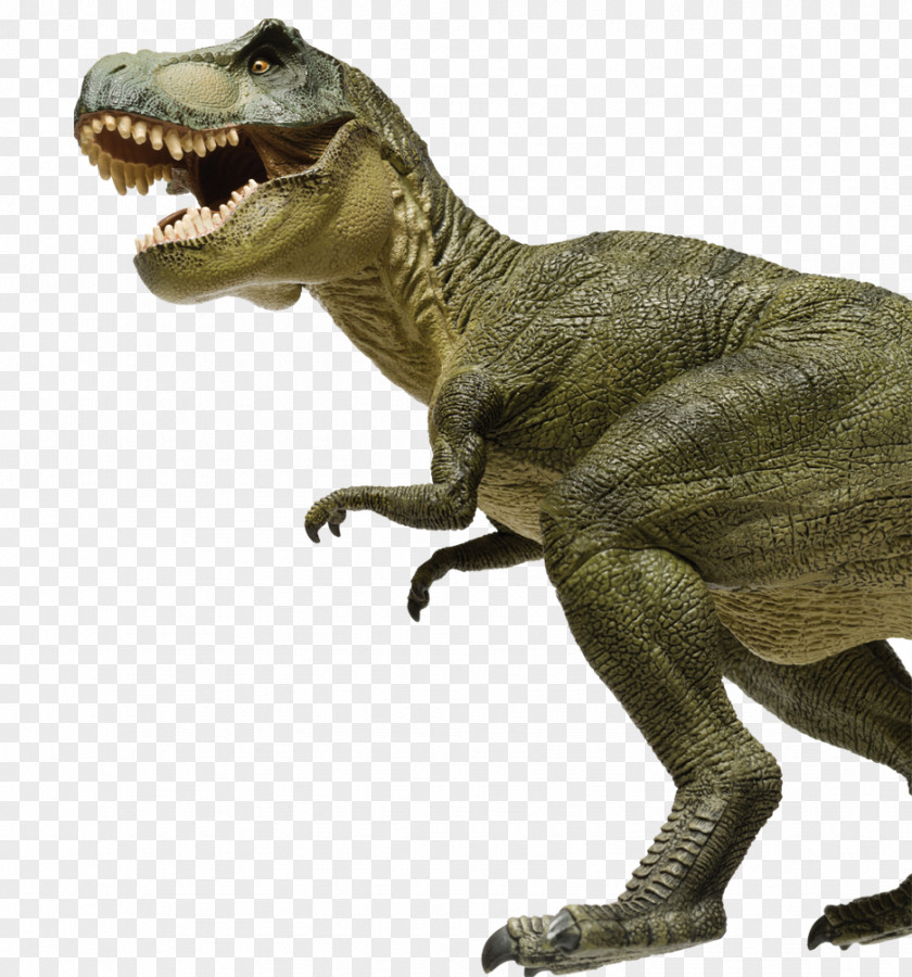 Tyrannosaurus Aucasaurus Triceratops Dinosaur Brachiosaurus Rex PNG