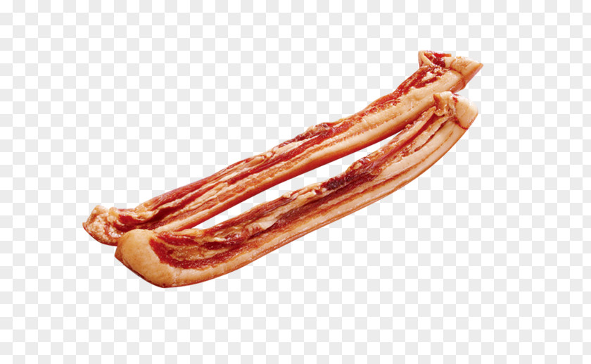 Bacon Sausage Bratwurst Frankfurter Wxfcrstchen Cervelat PNG
