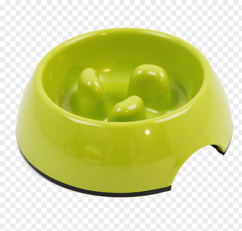 Dog Bowl Cat Pet Eating PNG