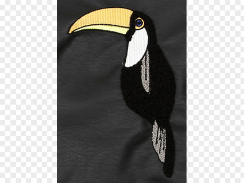 Jacket Toucan Raglan Sleeve Mini Rodini Sweater PNG