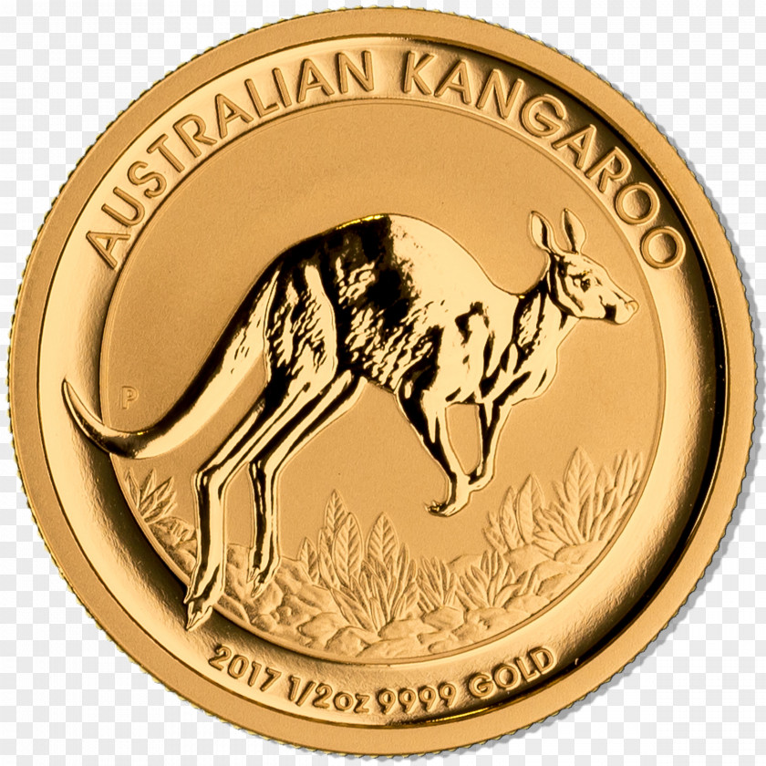 Kangaroo Coin Gold Metal Lamborghini Fauna PNG