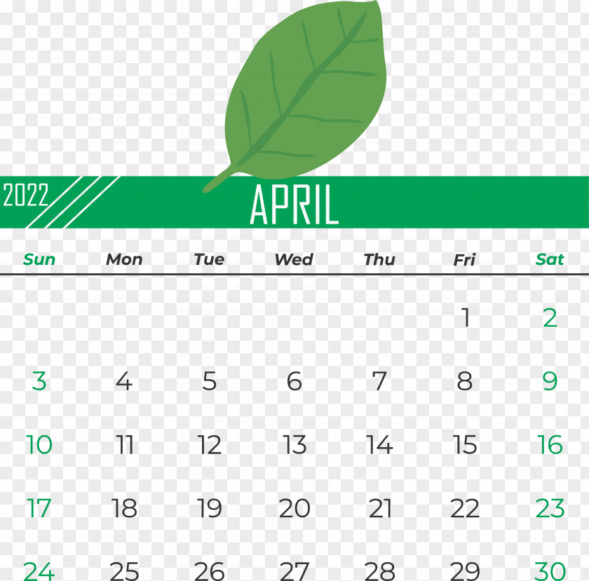 Logo Font Leaf Calendar Green PNG