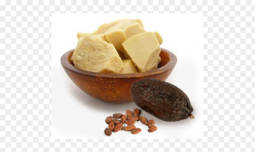 Shea Nut Cocoa Butter Bean Chocolate Theobroma Cacao PNG