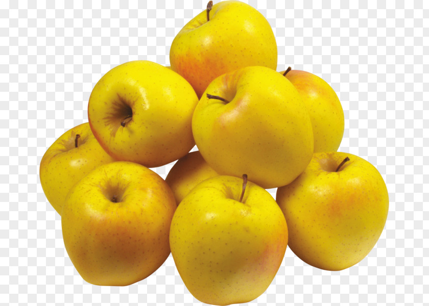 Apple Fruit Tree Golden Delicious PNG